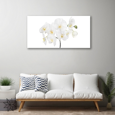 Obraz Akrylowy Storczyk Biały Kwiaty