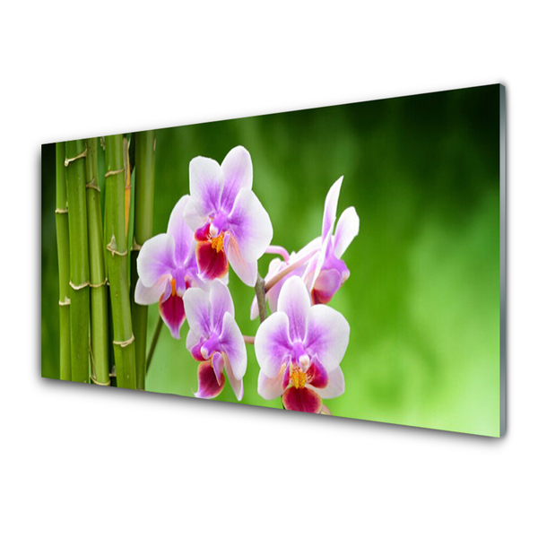 Obraz Akrylowy Bambus Storczyk Kwiaty Zen