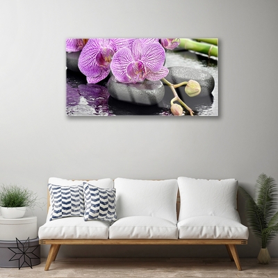 Obraz Akrylowy Storczyk Zen Orchidea Spa