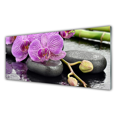 Obraz Akrylowy Storczyk Zen Orchidea Spa