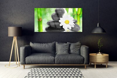 Obraz Akrylowy Bambus Stokrotka Kwiat