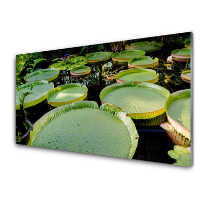 Obraz Akrylowy Liście Jezioro Natura