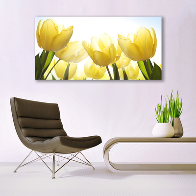 Obraz Akrylowy Tulipany Kwiaty Promienie