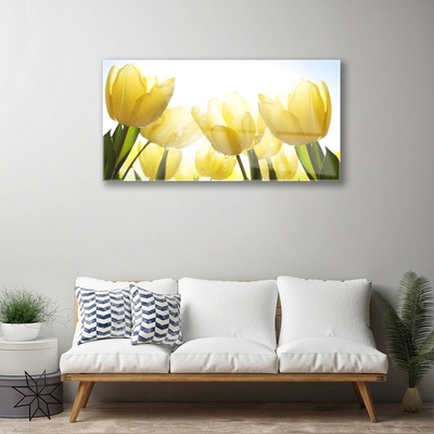 Obraz Akrylowy Tulipany Kwiaty Promienie
