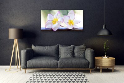 Obraz Akrylowy Kwiaty Płatki Plumeria