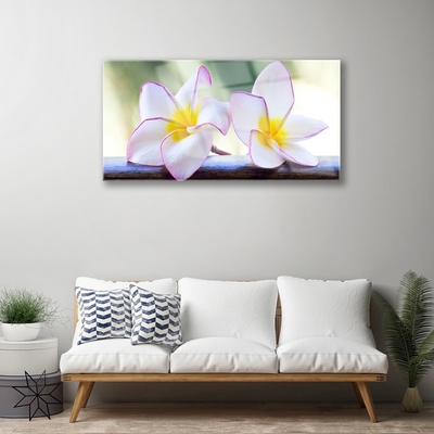Obraz Akrylowy Kwiaty Płatki Plumeria