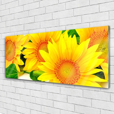 Obraz Akrylowy Słonecznik Kwiat Natura