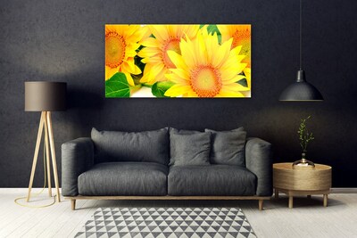 Obraz Akrylowy Słonecznik Kwiat Natura