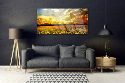 Obraz Akrylowy Pole Słoneczników Krajobraz