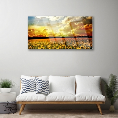 Obraz Akrylowy Pole Słoneczników Krajobraz