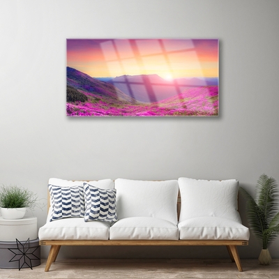 Obraz Akrylowy Słońce Góry Łąka Natura