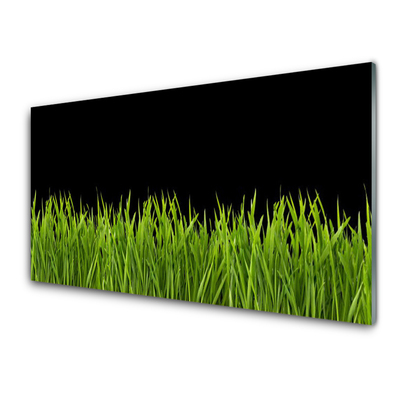 Obraz Akrylowy Zielona Trawa Natura