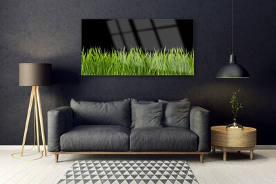 Obraz Akrylowy Zielona Trawa Natura