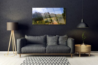Obraz Akrylowy Hala Góry Droga Natura Łąka