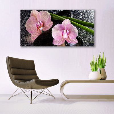 Obraz Akrylowy Kwiaty Orchidea Storczyk Zen