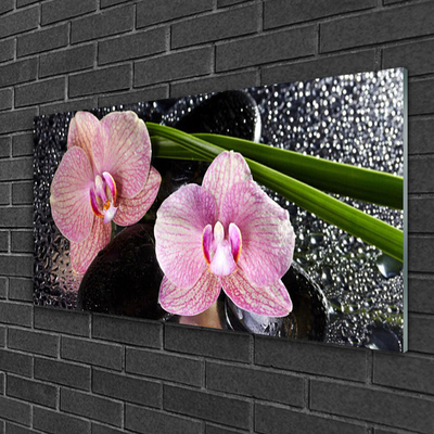 Obraz Akrylowy Kwiaty Orchidea Storczyk Zen