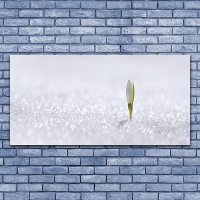 Obraz Akrylowy Przebiśnieg Śnieg Zima
