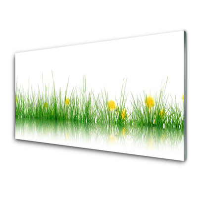 Obraz Akrylowy Natura Trawa Kwiaty