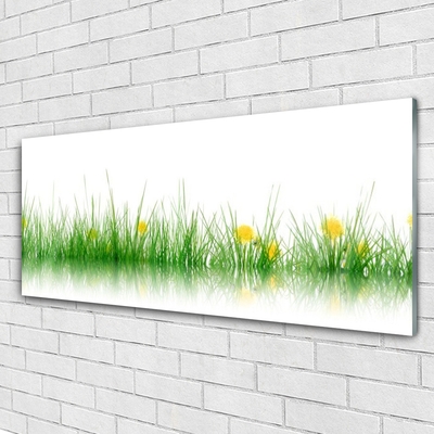 Obraz Akrylowy Natura Trawa Kwiaty