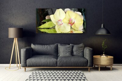 Obraz Akrylowy Płatki Kwiatu Storczyk