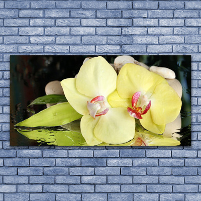 Obraz Akrylowy Płatki Kwiatu Storczyk