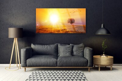 Obraz Akrylowy Zachód Słońca Łąka Ptaki