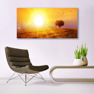 Obraz Akrylowy Zachód Słońca Łąka Ptaki