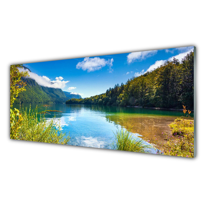 Obraz Akrylowy Góry Las Natura Jezioro