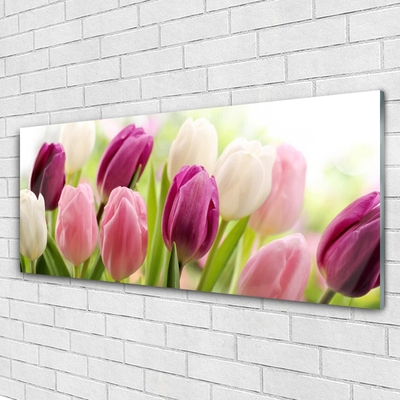 Obraz Akrylowy Tulipany Kwiaty Natura Łąka
