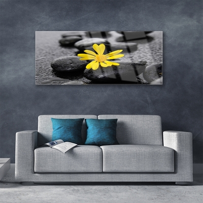 Obraz Akrylowy Żółty Kwiat Spa Przyroda