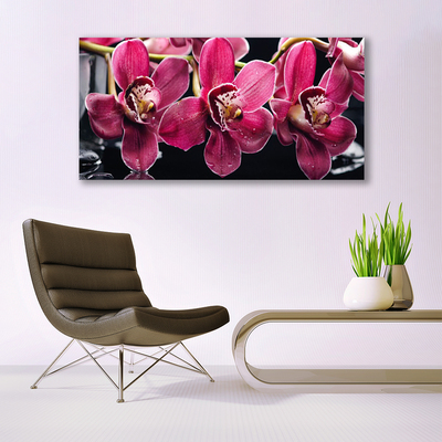 Obraz Akrylowy Kwiaty Orchidea Pędy Natura