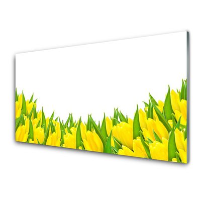 Obraz Akrylowy Kwiaty Natura Tulipany