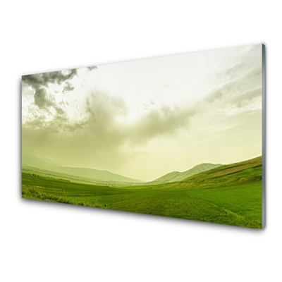 Obraz Akrylowy Łąka Natura Zielony Widok