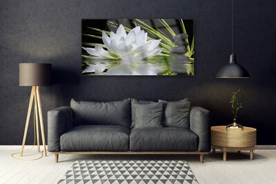 Obraz Akrylowy Kwiaty Lilia Wodna
