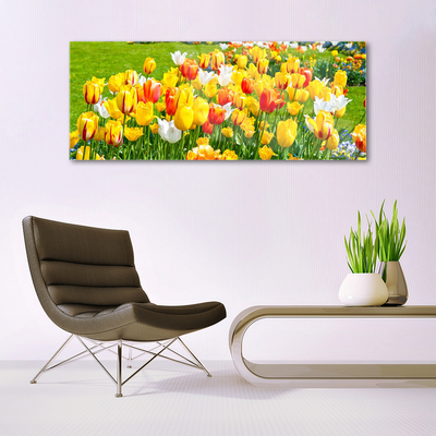 Obraz Akrylowy Tulipany Kwiaty Natura