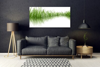 Obraz Akrylowy Trawa Natura Roślina