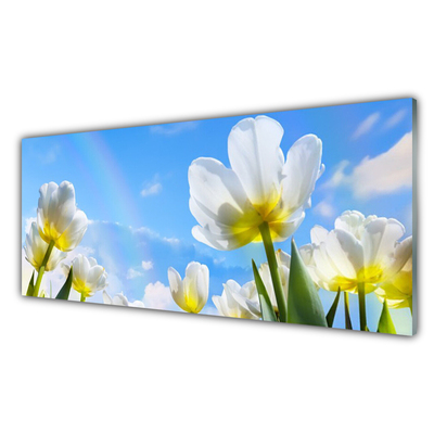 Obraz Akrylowy Rośliny Kwiaty Tulipany