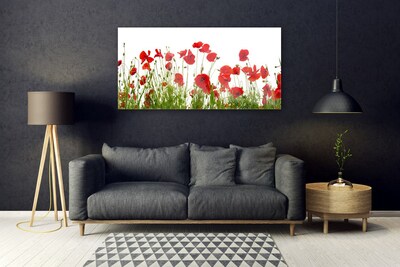Obraz Akrylowy Maki Kwiaty Natura Roślina