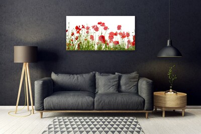 Obraz Akrylowy Maki Kwiaty Natura Roślina