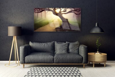 Obraz Akrylowy Drzewo Promienie Słońce