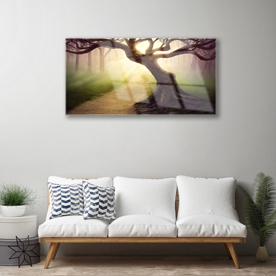 Obraz Akrylowy Drzewo Promienie Słońce