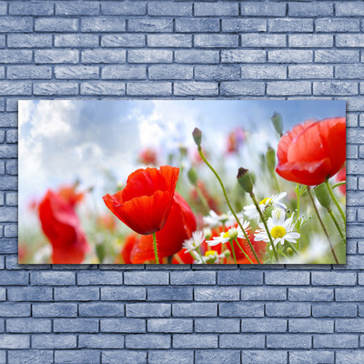 Obraz Akrylowy Maki Stokrotki Kwiaty