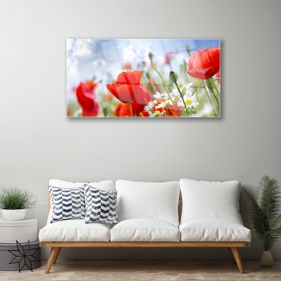 Obraz Akrylowy Maki Stokrotki Kwiaty