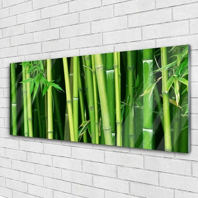 Obraz Akrylowy Las Bambusowy Bambus Natura