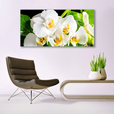Obraz Akrylowy Orchidea Kwiaty Natura