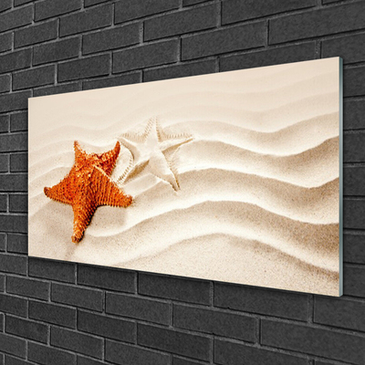 Obraz Akrylowy Rozgwiazda na Piasku Plaża
