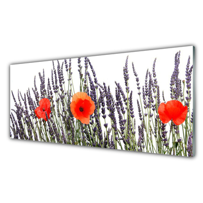 Obraz Akrylowy Kwiaty Maki Pole Trawy