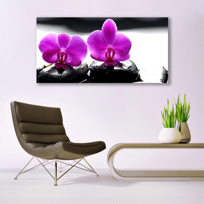 Obraz Akrylowy Kwiaty Orchidea Natura