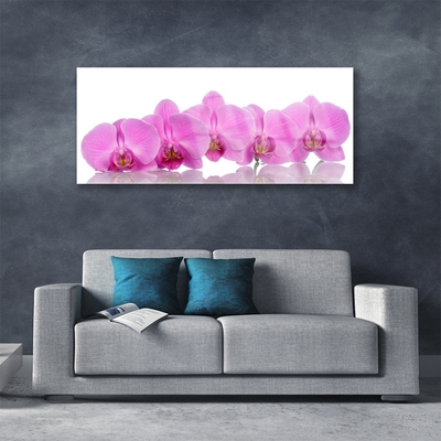 Obraz Akrylowy Różowa Orchidea Kwiaty