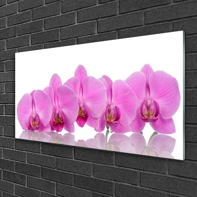 Obraz Akrylowy Różowa Orchidea Kwiaty